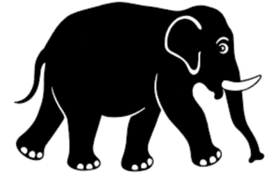 The (black) elephant in the room 